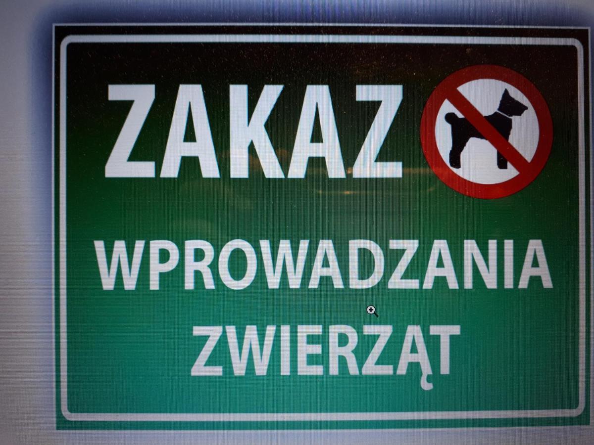 Apartment Przy Morcinka *
